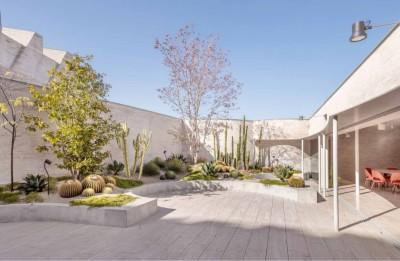 A cactus garden a top the Patteson’s boarding house development 